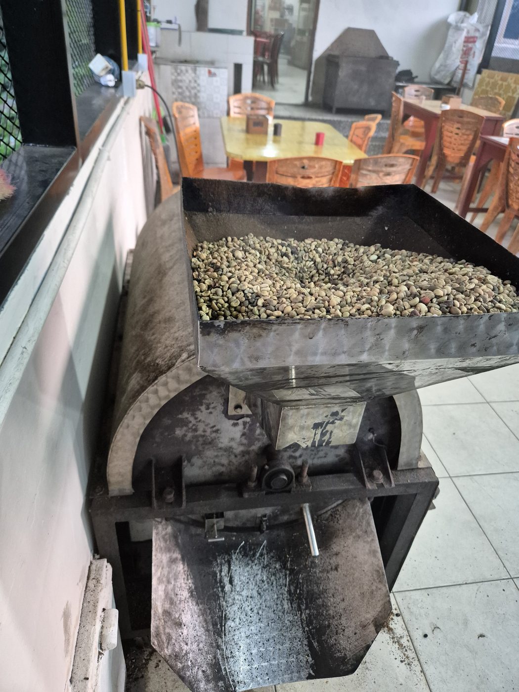 Biji kopi pilihan sebelum proses roasting